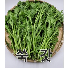 쑥갓 4kg내외 야채맘, 1개