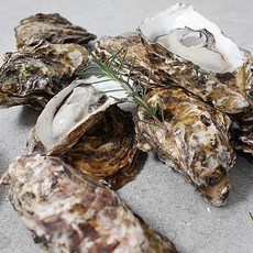 산지직송 통영 제철 석화 5kg, 1개, 단품
