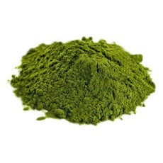 Exotic 엑소틱 슈가글이더 먹이 유칼립튜스 파우더 113g Eucalyotus Powder, 1개