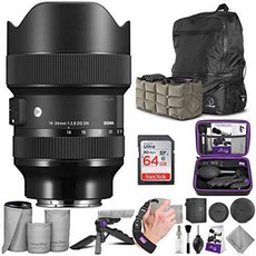 Sigma Sigma 14-24mm f/2.8 DG DN Art Lens for Sony E Mount with Advance