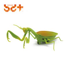 무선조종사마귀