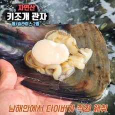 자연산 키조개 관자 200g 통 슬라이스, 1개