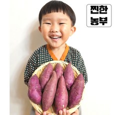 [찐한농부] 무농약 수출용 옛날 밤고구마 꿀고구마2kg 특상 중간 사이즈 3차선별, 특상 2kg, 1개