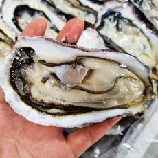 미각기행 반손질 하프셀 1단 2.5kg 내외(25~30미), 1개