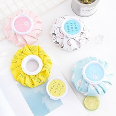 아이스비스킷신발주머니