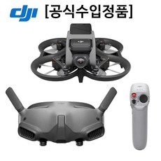 DJI Avata 아바타 프로 뷰 콤보(Goggles 2)