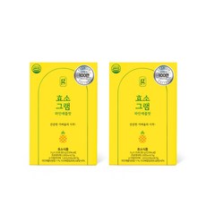 효소그램 파인애플맛 100만역가 국내산 발효효소, 2박스, 120g