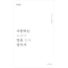 [도서] [시간의흐름] 사랑하는 소년이 얼음 밑에 살아서 [양장본 Hardcover], 상세 설명 참조, 상세 설명 참조