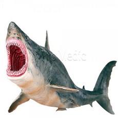 b6371a9a1650b036513d7df5c2f325214a75a92df00afd906c29b09431e9.jpg