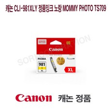 캐논ts709