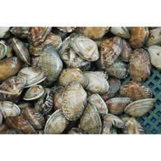 한려수도수산