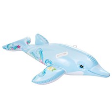 뉴돌고래라이드온