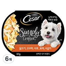 시저 심플리 닭고기 고구마 사과 강아지습식사료, 닭고기+고구마+사과+보리+시금치, 37g, 6개 - 시저심플리