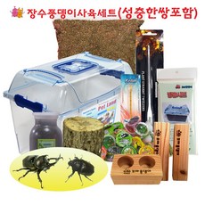 [꼬마풍뎅이] 장수풍뎅이 성충세트 (성충포함), 06 장수성충특대형세트, 1세트