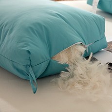 조선호텔구스베개