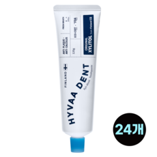 휘바덴트 자일리민티 치약, 120g, 24개