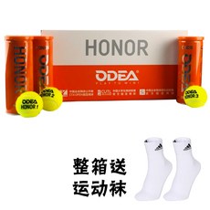 테니스공 Honor Passion테니스 경기용 볼훌련 용공 고탄력 보강 4입자 캔, T10-Honor한박스 운송 스타킹