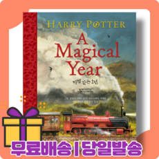 해리포터마법같은1년