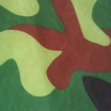 옥스포드걸음마