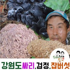 먹버섯 까치버섯 자연산버섯 곰버섯 검정버섯 강원도양양, 냉동 손질 까치버섯1kg