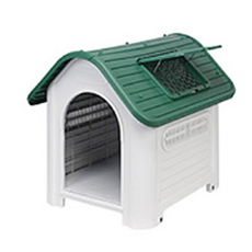 일산대형견애견호텔