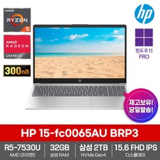 HP 2023 노트북 15-fc0065AU BRP3 WIN11PRO 32GB 삼성NVMe2TB 라이젠5-7530U FHD IPS 인강용 사무용 업무용 비즈니스, 실버, 라이젠5, 2TB, WIN11 Pro