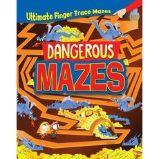 (영문도서) Dangerous Mazes Library Binding, Windmill Books, English, 9781508197256