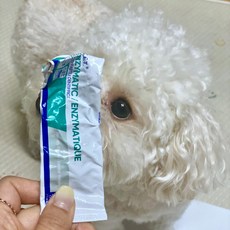 오라틴치약