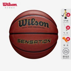 농구공 퓨어샷 클리너 왁스 동대문운동장 윌슨 7호 시니어 6호 5호 어린이 고무실외 시멘