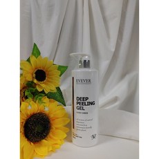 이브에버모델링