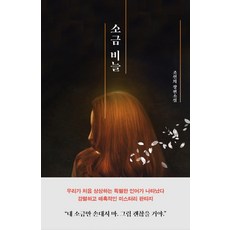금의지하소설