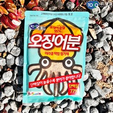 오징어분 월척전용 토코 떡밥 민물 떡밥 붕어, 300g, 1개