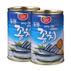 양파고등어