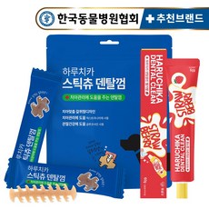 펫생각 하루치카 바르는 입냄새 치석 제거 강아지 치약 딸기 덴탈껌 세트, 스틱츄, 1개 - 펫생각하루치카