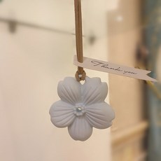 섬백리향