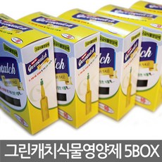 생장술앰플