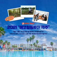 제주일일투어-추천-상품