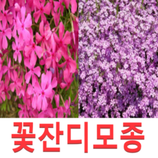 d336cdb2eae9e45ce3d0a5cdf5edb4d388e417bc695b3ad677004be3223f.png