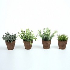 클리핑로즈마리