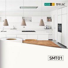 smt01