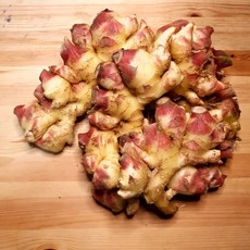 국내산안동햇생강슬라이스진공포장1kg