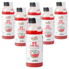 미스터초이스 얼린 100% 수박 주스, 6개, 300ml