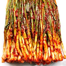 파김치추천 종말이 파김치 일품김치 쪽파김치 파김치맛집, 1박스, 1kg