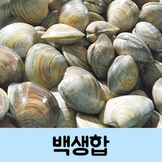 현모양처 무료배송 클래미 어떤 요리에도 잘 어울리는 조개 백생합 1kg, 상세페이지 참조