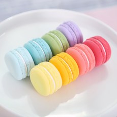 마카롱모형