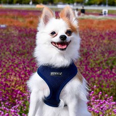 퍼피아 강아지 소프트 하네스 A PDCF-AC30, 네이비