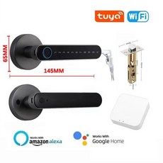 Tuya 생체 인식 지문 스마트 잠금 장치 전자 디지털 열쇠 없는 출입 손잡이 침실 및 가정용 암호, 1.중국, 1개