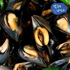[남해바다] 국내산 싱싱한 홍합 2kg, 1