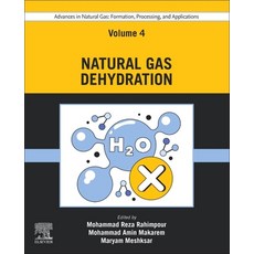(영문도서) Advances in Natural Gas: Formation Processing and Applications. Volume 4: Natural Gas Dehyd... Paperback, Elsevier, English, 9780443192210