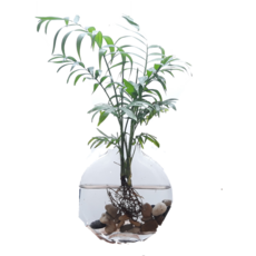 f4bebe8ec64a192db26e227808ed490f2b1ea66a4ee3525dc8c3884e1bd5.png